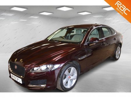 JAGUAR